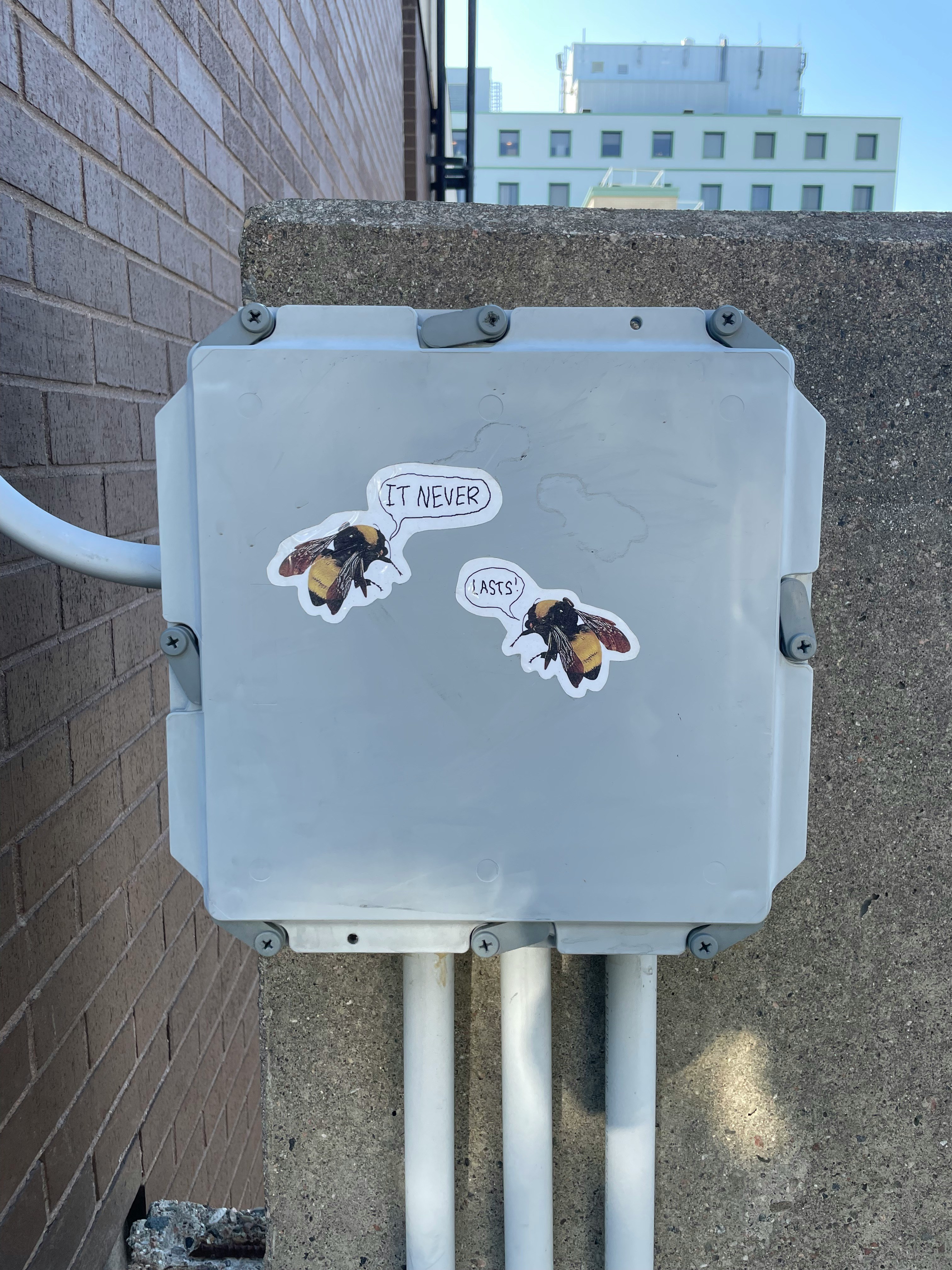 Internet installation and network setup
